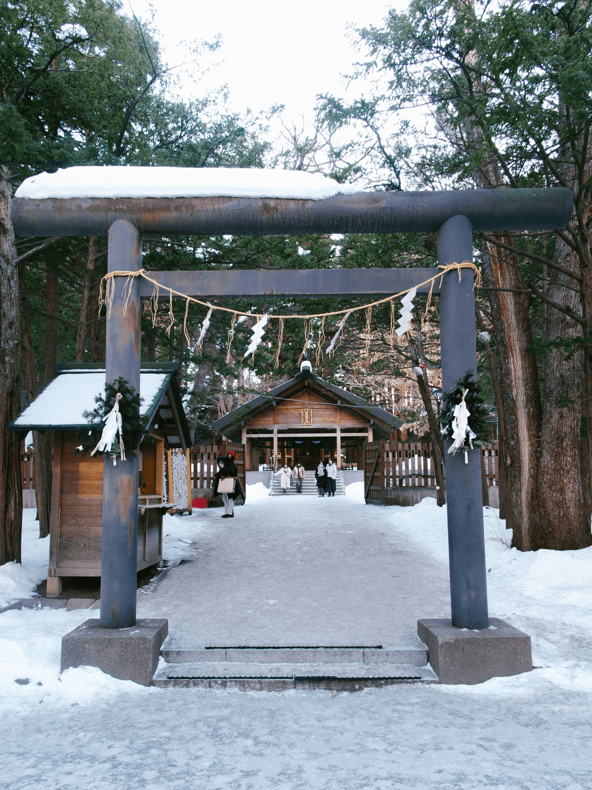Sapporo 11